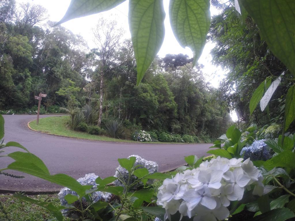 Chale Bela Vista Villa Gramado Dış mekan fotoğraf